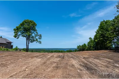 V/L Spruce Ridge Road, Bear Lake, MI 49614 - Photo 20