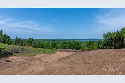 V/L Spruce Ridge Road, Bear Lake, MI 49614 - Photo 22