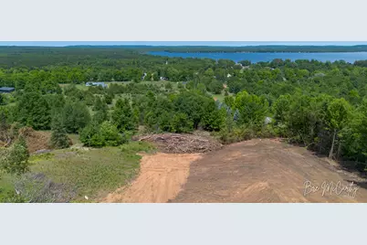 V/L Spruce Ridge Road, Bear Lake, MI 49614 - Photo 10