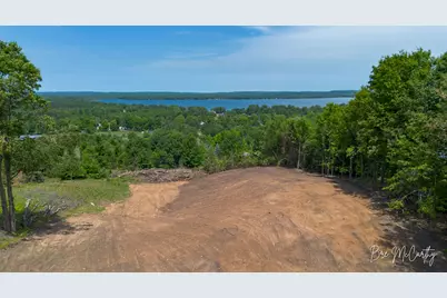 V/L Spruce Ridge Road, Bear Lake, MI 49614 - Photo 2