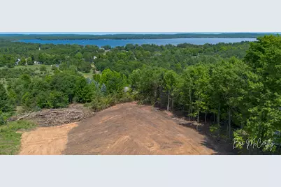 V/L Spruce Ridge Road, Bear Lake, MI 49614 - Photo 8