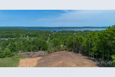 V/L Spruce Ridge Road, Bear Lake, MI 49614 - Photo 1