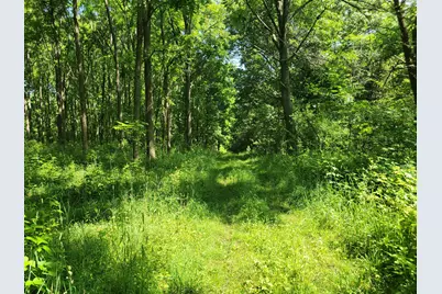 35176 Mill Lake Road, Gobles, MI 49055 - Photo 26