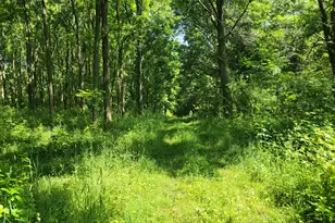 35176 Mill Lake Rd, Gobles, MI 49055 - Photo 26