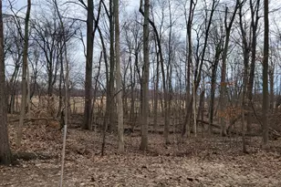 35176 Mill Lake Rd, Gobles, MI 49055 - Photo 28