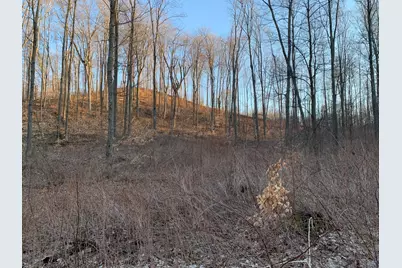 0 Off Of Chief Road, Bear Lake, MI 49614 - Photo 2