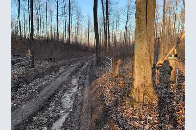 0 Off Of Chief Road, Bear Lake, MI 49614 - Photo 4