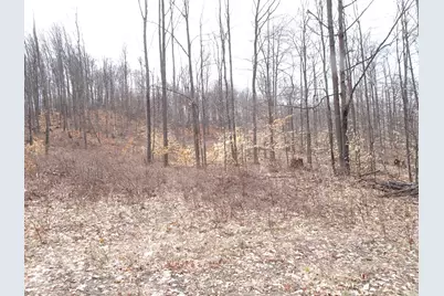 L Chief Road, Bear Lake, MI 49614 - Photo 1