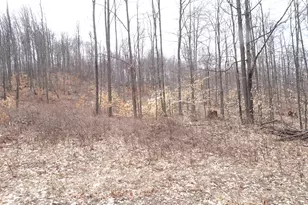 L Chief Rd, Bear Lake, MI 49614 - Photo 1