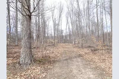 B Chief Road, Bear Lake, MI 49614 - Photo 1