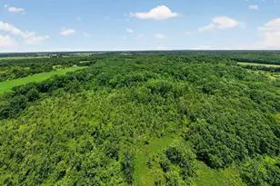 64030 Chain Lake St, Cassopolis, MI 49031 - Photo 44