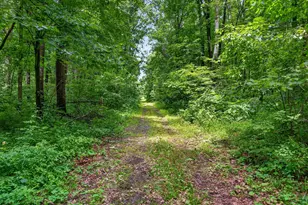 64030 Chain Lake St, Cassopolis, MI 49031 - Photo 60