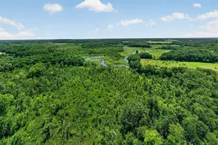 64030 Chain Lake St, Cassopolis, MI 49031 - Photo 46