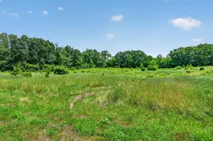 64030 Chain Lake St, Cassopolis, MI 49031 - Photo 52