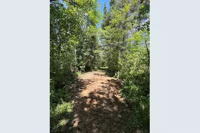 S Loxley Road, Houghton Lake, MI 48629 - Photo 4