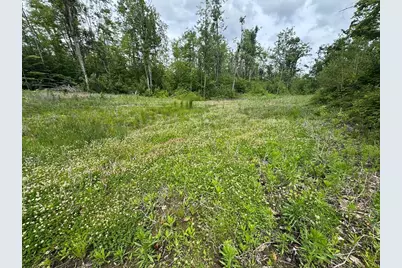 1692 N Galbraith Road, Mio, MI 48647 - Photo 4