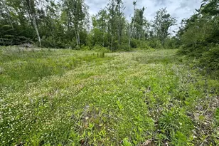 1692 N Galbraith Rd, Mio, MI 48647 - Photo 4