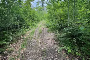 1692 N Galbraith Rd, Mio, MI 48647 - Photo 32
