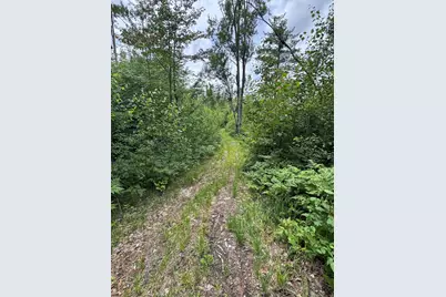1692 N Galbraith Road, Mio, MI 48647 - Photo 82