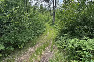1692 N Galbraith Rd, Mio, MI 48647 - Photo 82