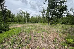 1692 N Galbraith Rd, Mio, MI 48647 - Photo 34