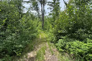 1692 N Galbraith Rd, Mio, MI 48647 - Photo 80