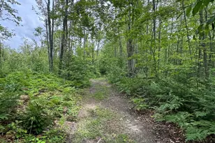 1692 N Galbraith Rd, Mio, MI 48647 - Photo 30