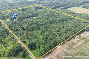 86960 Co Rd 681, Decatur, MI 49045 - Photo 4