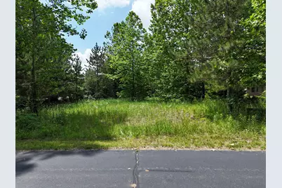 29265 Misty Pines Street, Dowagiac, MI 49047 - Photo 10