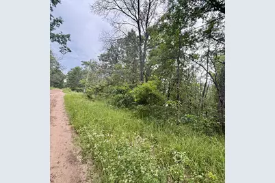 Vl Princeton Drive, Baldwin, MI 49304 - Photo 4