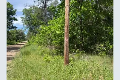 Vl Princeton Drive, Baldwin, MI 49304 - Photo 1