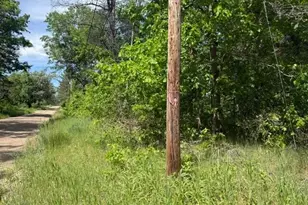 Vl Princeton Dr, Baldwin, MI 49304 - Photo 1