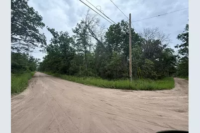 Vl Princeton Drive, Baldwin, MI 49304 - Photo 2