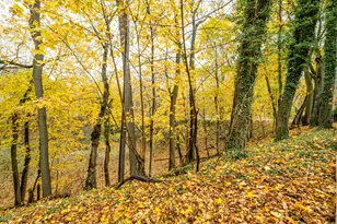 [Address not provided], Benton Harbor, MI 49022 - Photo 66