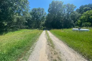 794 E Fox Farm Rd, Manistee, MI 49660 - Photo 6