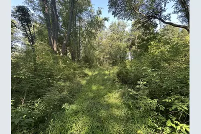 7509 Genesee Road, Litchfield, MI 49252 - Photo 6