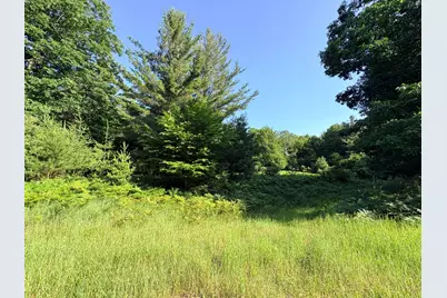 Wildwood Trail #Lot A, Manistee, MI 49660 - Photo 1