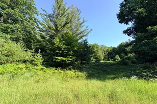 Wildwood Trail, Manistee, MI 49660 - Photo 1