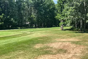 6805 Mayfair Dr, Canadian Lakes, MI 49346 - Photo 6