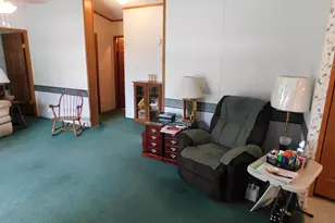 250 N Davis St, Harrietta, MI 49638 - Photo 18