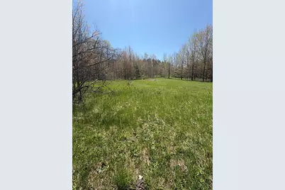17055 Butwell Road, Bear Lake, MI 49614 - Photo 6