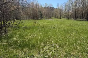 17055 Butwell Rd, Bear Lake, MI 49614 - Photo 6
