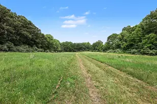 4794 Seymour Rd, Jackson, MI 49201 - Photo 24