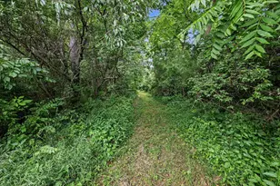 4794 Seymour Rd, Jackson, MI 49201 - Photo 28