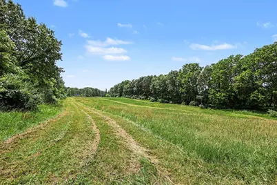 4794 Seymour Road, Jackson, MI 49201 - Photo 26