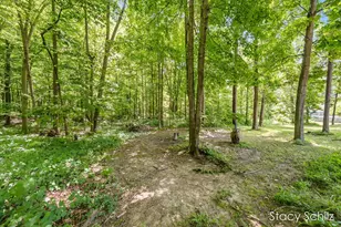 4413 S Lacey Lake Rd, Bellevue, MI 49021 - Photo 48