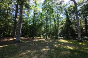 18233 Old House Rd, Wellston, MI 49689 - Photo 22