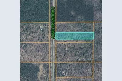 20832 Caberfae Highway, Wellston, MI 49689 - Photo 36
