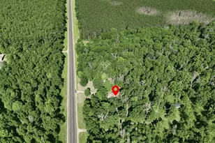 20832 Caberfae Hwy, Wellston, MI 49689 - Photo 4