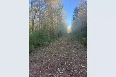 N Woodland Avenue, Bitely, MI 49309 - Photo 4